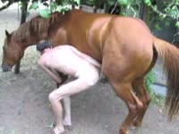 Gay and horse anal sex in the farm
